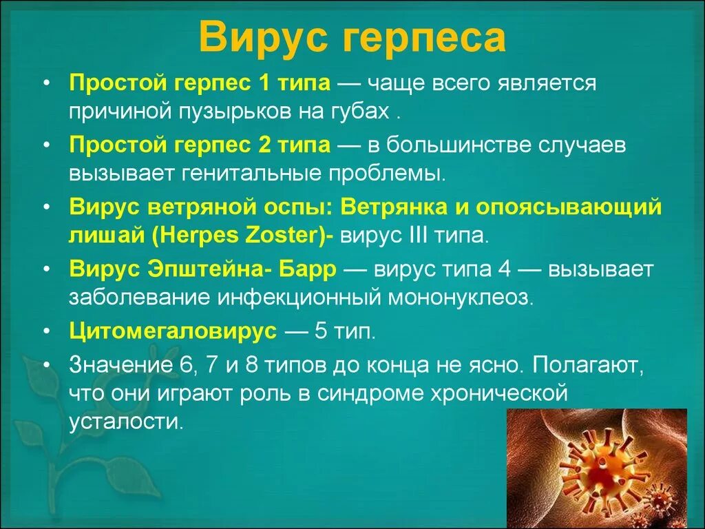 Разновидности герпеса на теле фото и описание Профилактика герпеса Долг врача в том, чтобы лечить безопасно, качественно, прия