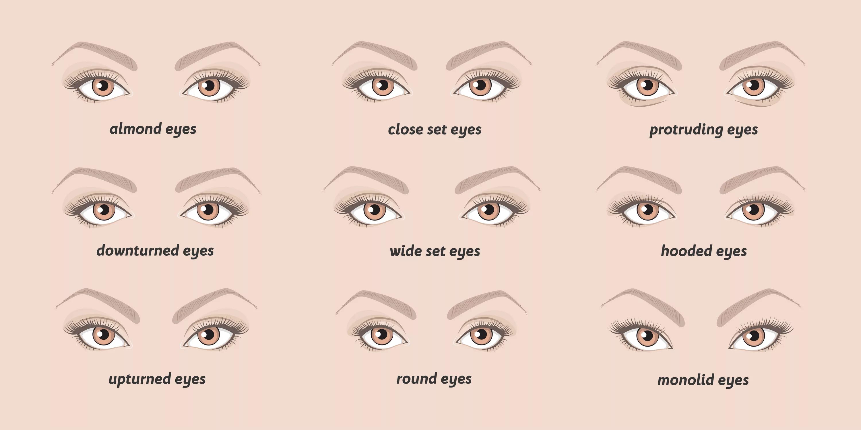 Разновидности глаз фото Guide: How To Do Winged Eyeliner Perfectly Every Time CollegeTimes.com