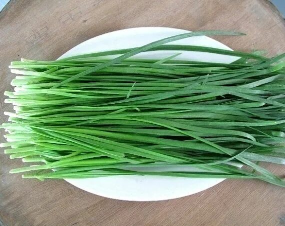 Разновидности лука на зелень фото и названия 2400 Organic Spring Onion Allium Seeds Scallion Bounching onion Perennial Onion 