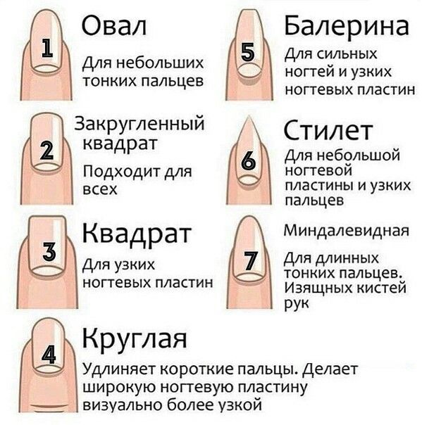 Разновидности маникюра фото и названия Форма ногтей Manicure nail designs, Nail manicure, Work nails