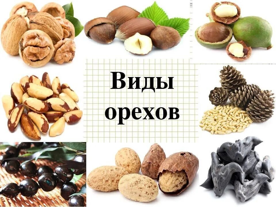 Разновидности орехов фото и название Table of protein content in products from the category - nuts. The diagram shows