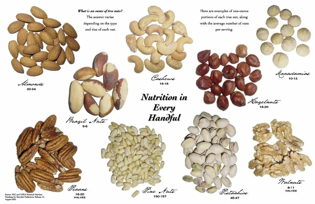 Разновидности орехов фото и название Fanatic Cook: What Is A Serving Of Nuts? Nutrition, Food, Pistachios health