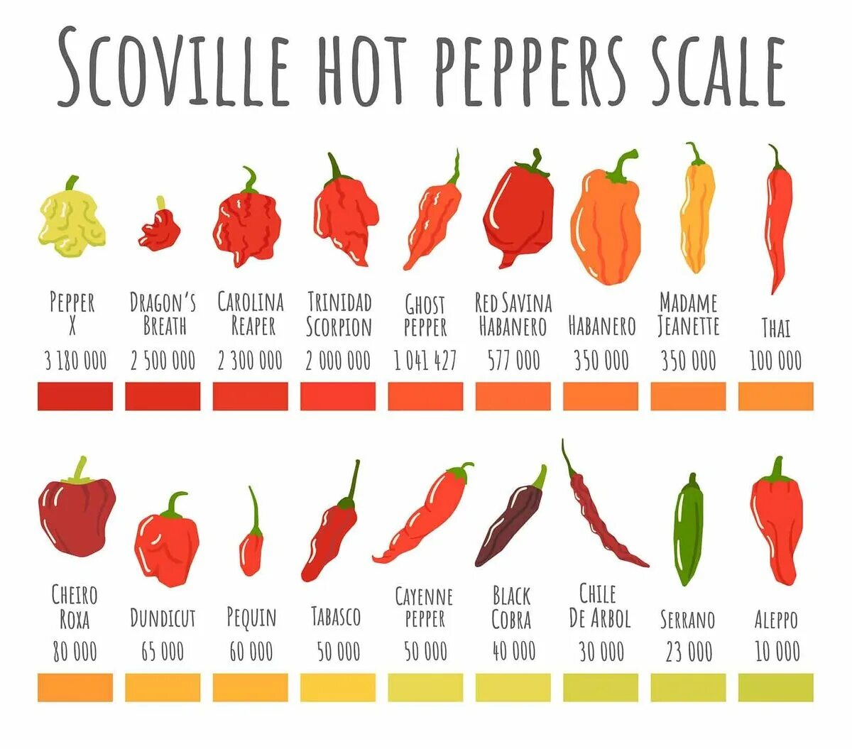 Разновидности перцев фото с названиями Что такое шкала Сковилла и с чем её едят? Fishki.Net Дзен