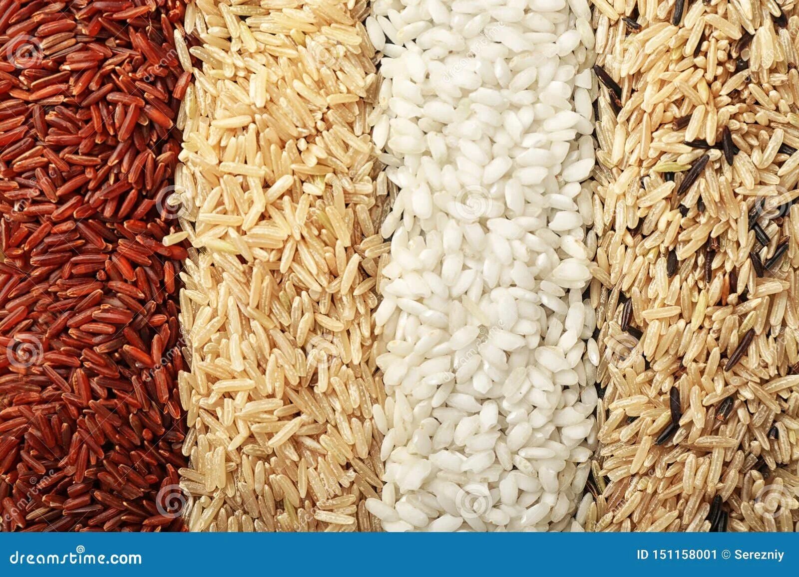 Разновидности риса фото с названиями Different Types of Rice As Background, Closeup Stock Image - Image of food, abst