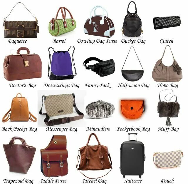 Разновидности сумок женских названия с фото Handbag Silhouettes Types of handbags, Types of bag, Bags