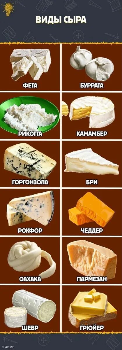 Разновидности сыров названия с фото Виды сыра in 2022 Cooking art, Types of cheese, Cheese