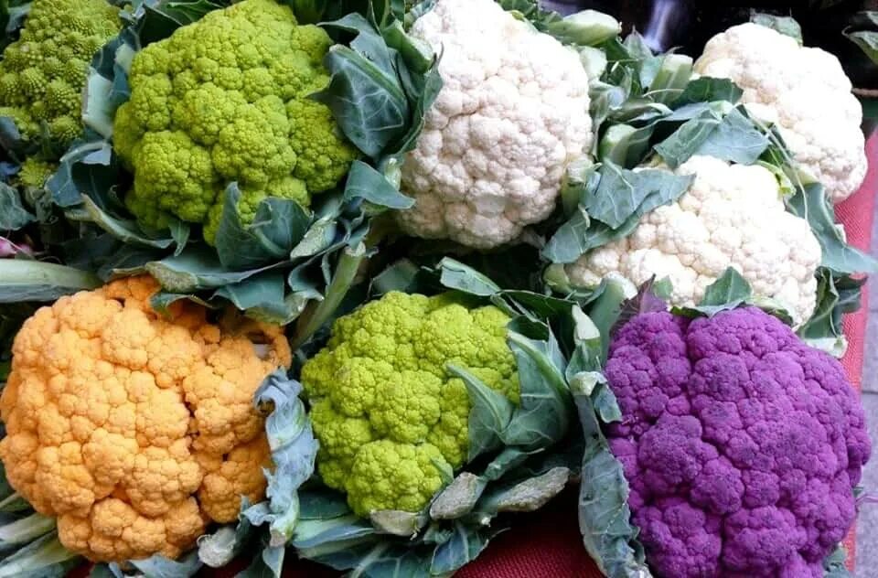 Разновидности цветной капусты фото с названиями Amazon.com: Cauliflower Seeds