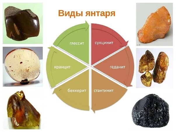 Разновидности янтаря по цвету фото и название Ddx янтарь