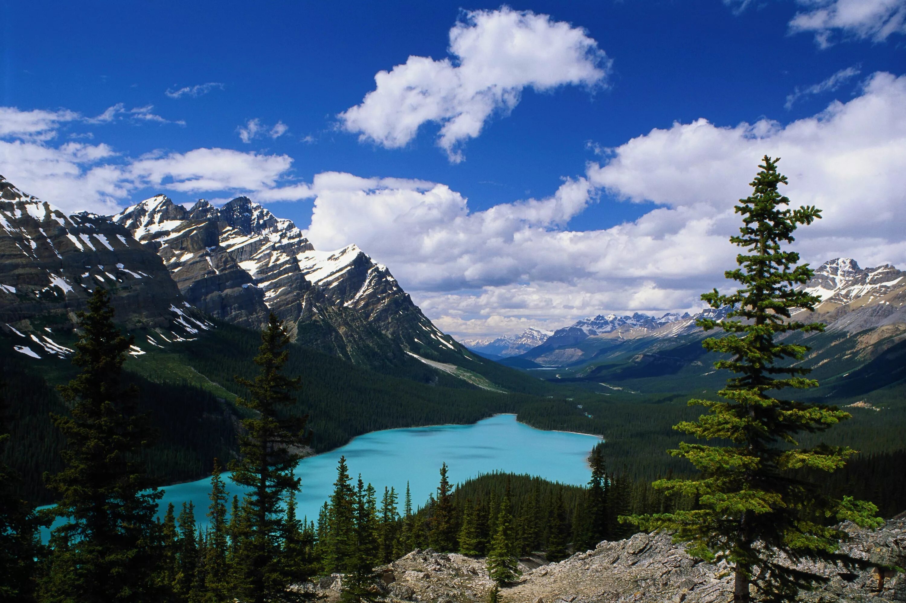 Разные фото природы Les Fonds D’écran Arbres Verts et Montagnes Sous Ciel Bleu et Nuages Blancs Pend