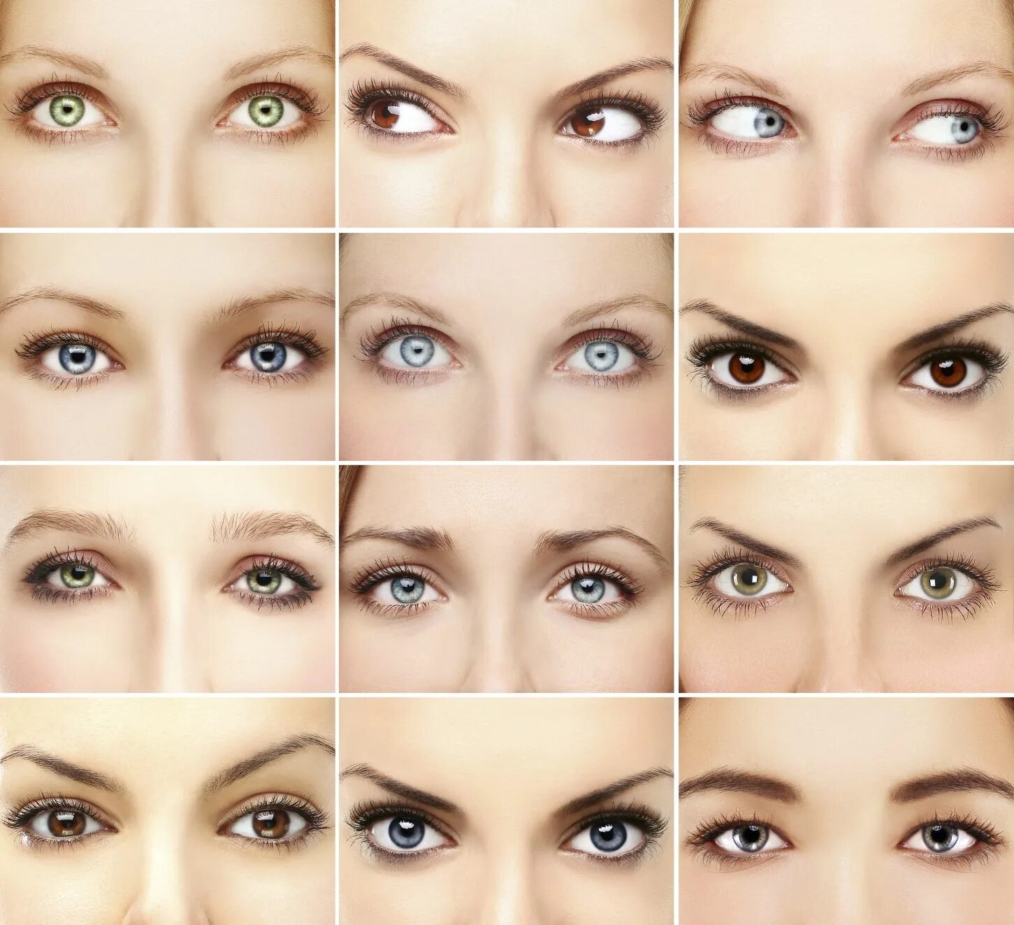 Разные глаза макияж Eye Shadow for your eye shape. Augen richtig schminken, Grosse augen schminken, 