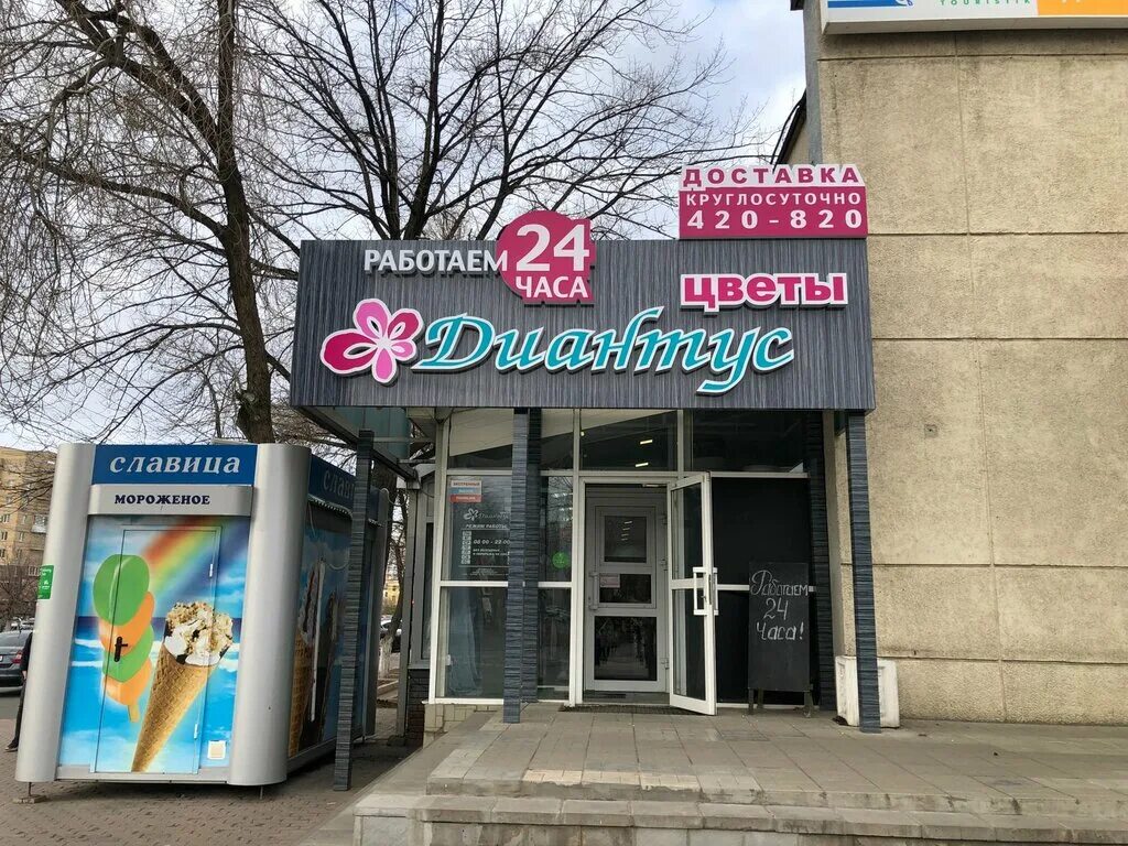 Разомни ул маршала жукова 26 оренбург фото Diantus, flower shop, Russia, Orenburg, ulitsa Marshala Zhukova, 30А - Yandex.Ma