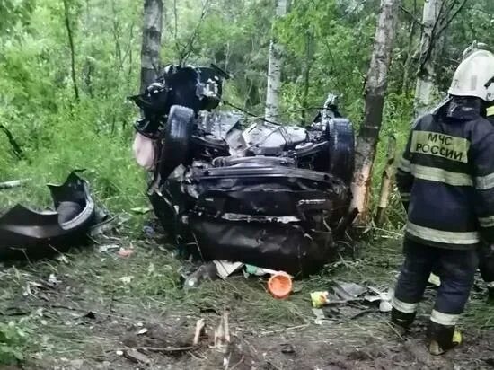 Разорванные медведем фото Машину разорвало на части в ДТП под Северодвинском - МК Архангельск