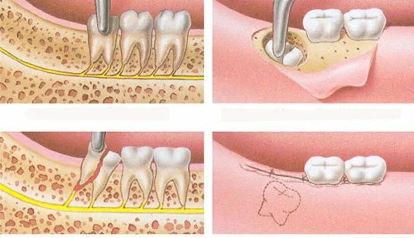 Utkinzub, dental clinic, Moscow, Maryinsky Park Street, 9к2 - Yandex Maps