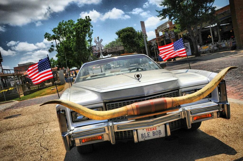 Разрешен ли тюнинг авто в сша Cadillac with Longhorns - Bing Fort worth texas, Cadillac, Fort worth stockyards