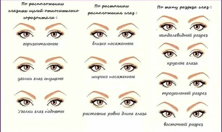 Разрезы глаз макияж Пин на доске Ресницы Ресницы, Ресницы растут, Ресницы советы