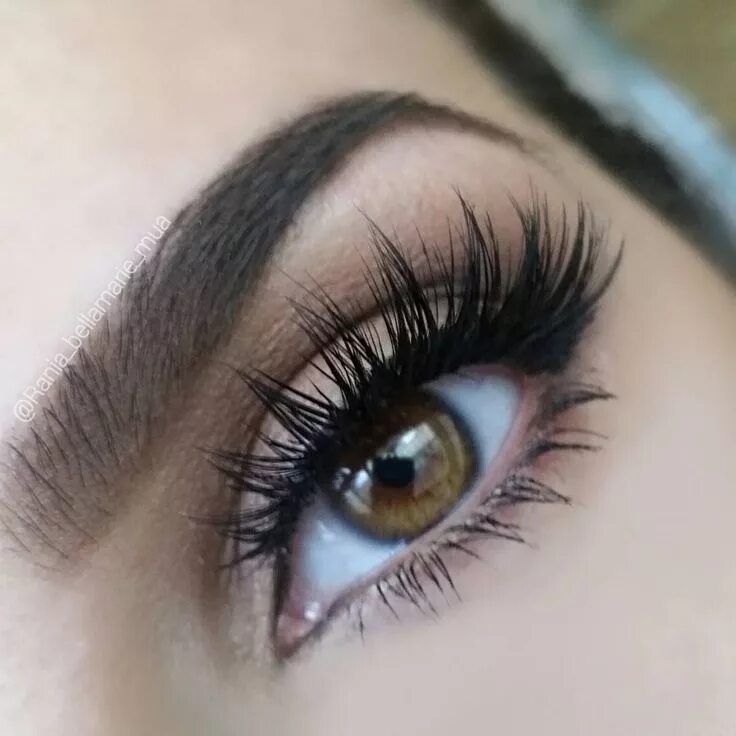 Разряженный эффект нарощенных ресниц фото See this Instagram photo by @rania_bellamarie_mua * 953 likes Best false eyelash