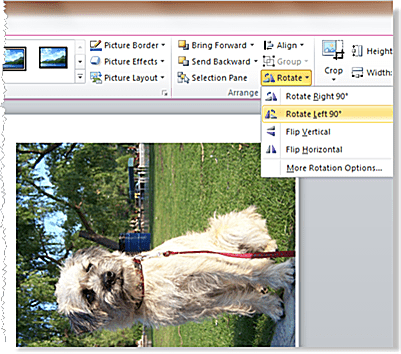 Развернуть фото на 90 градусов Поворот изображения на слайде PowerPoint 2010