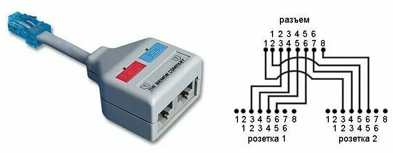 Разветвитель rj45 на 2 порта схема подключения Разветвитель Siemon (YU4-U2-U2) - купить по низкой цене на Яндекс Маркете