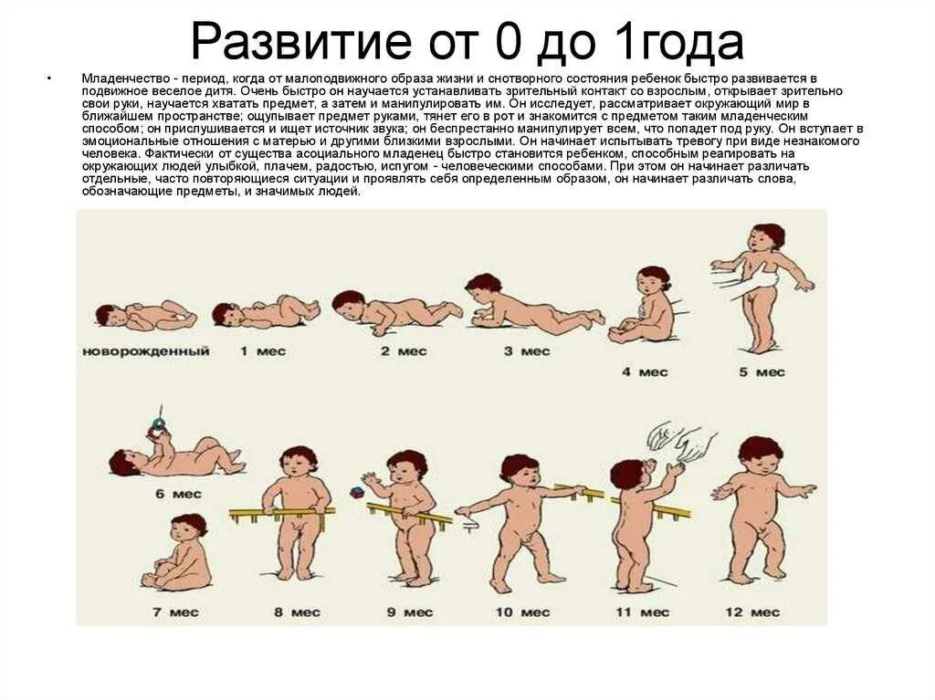 Развитие ребенка по месяцам фото Схемы развития ребенка