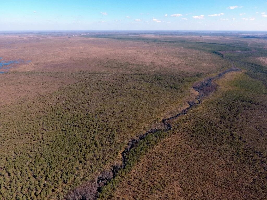 Рдейский заповедник фото Глава Минприроды России поздравил коллективы 4 российских заповедников с 25-летн