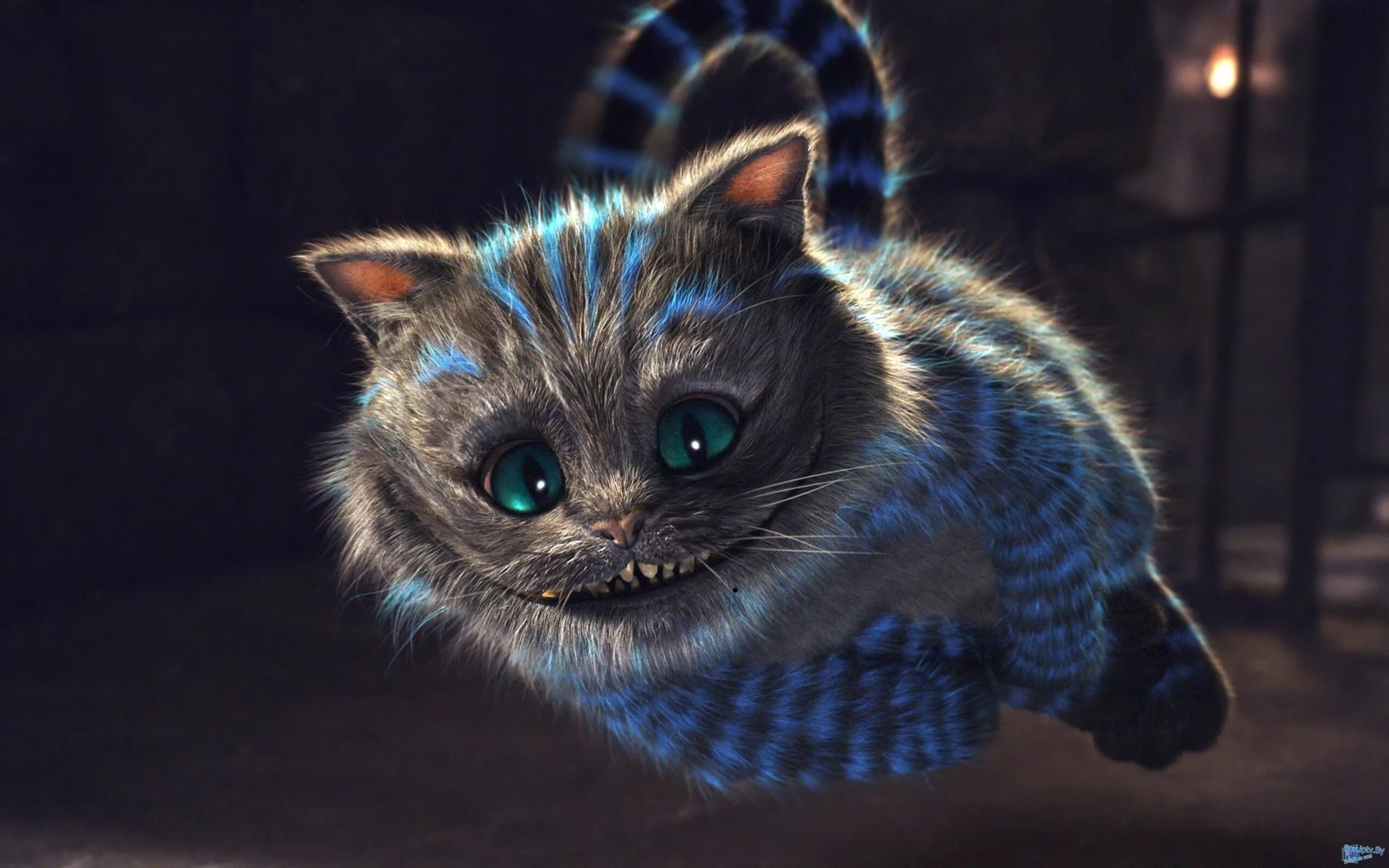 Реалистичное фото кота Wallpaper : Cheshire Cat, blue, whiskers, Alice in Wonderland, kitten, 2560x1600