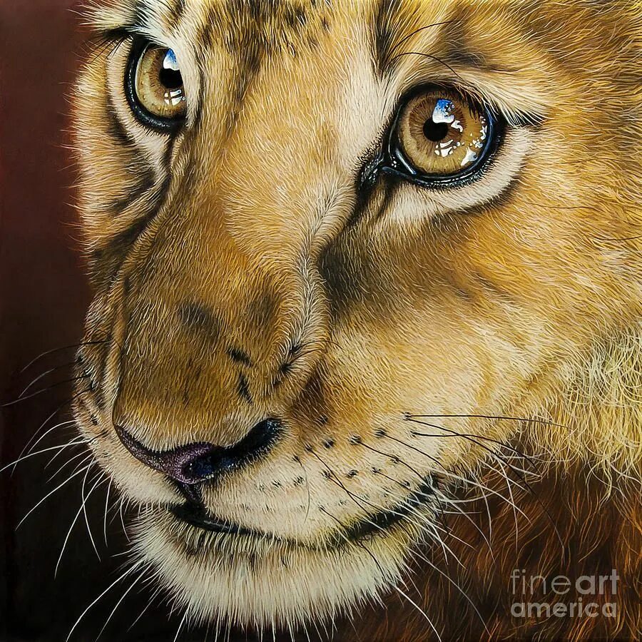 Реалистичные картинки животных Young Lion by Jurek Zamoyski Animals, Lion painting, Cat art