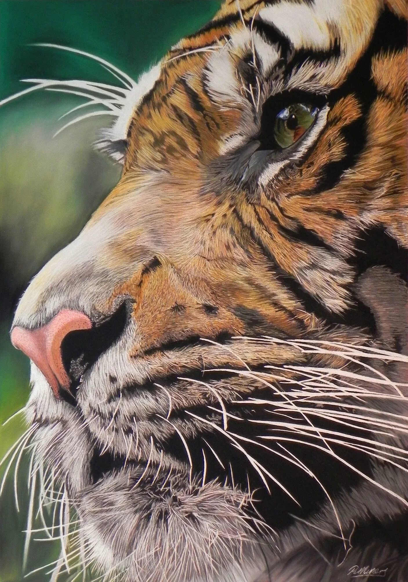 Реалистичные картинки животных Artist Paul Miners Big cats art, Tiger artwork, Tiger art