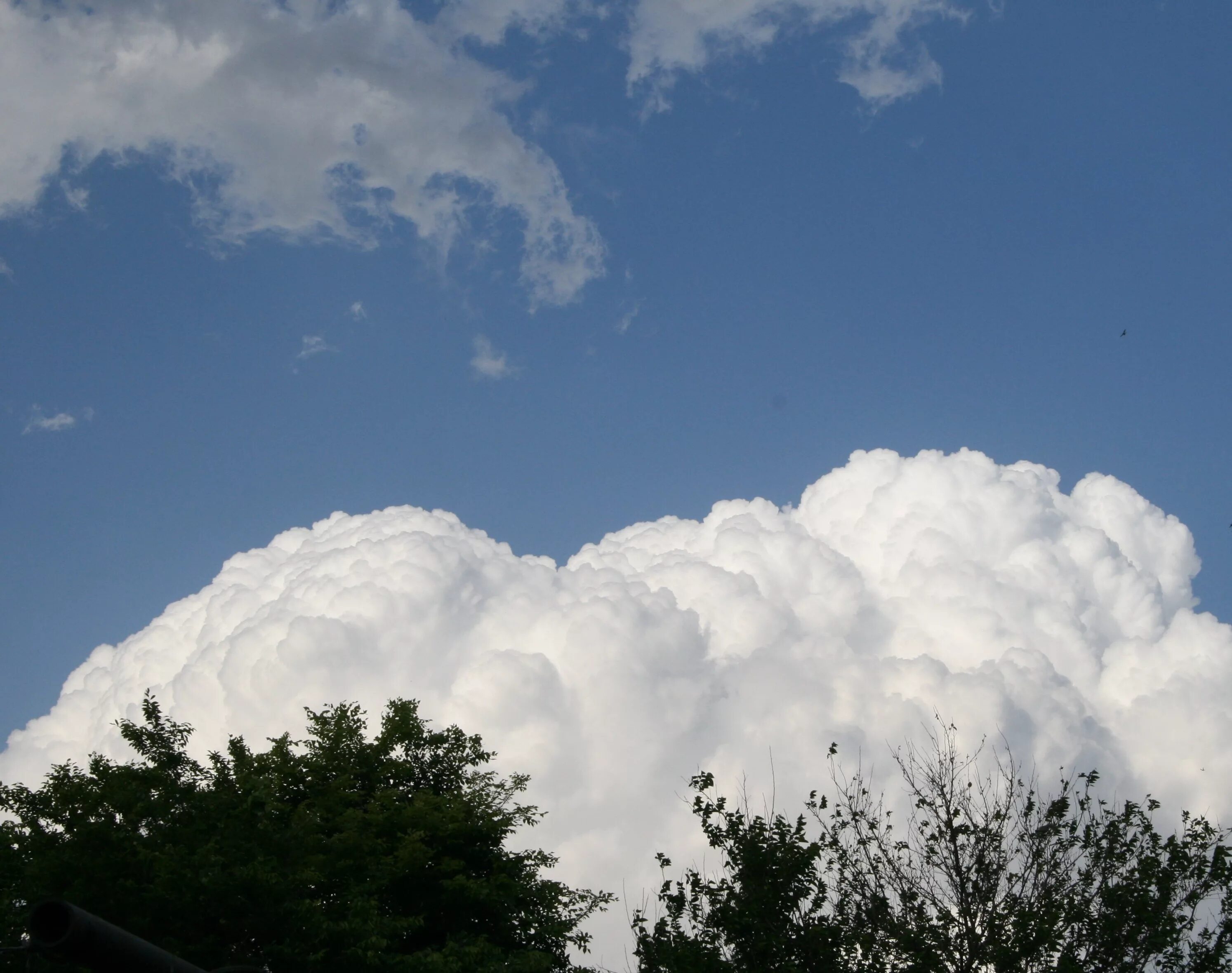 Реалми облако фото Free Images : cloud, sky, white, daytime, weather, cumulus, blue, dense, trees, 