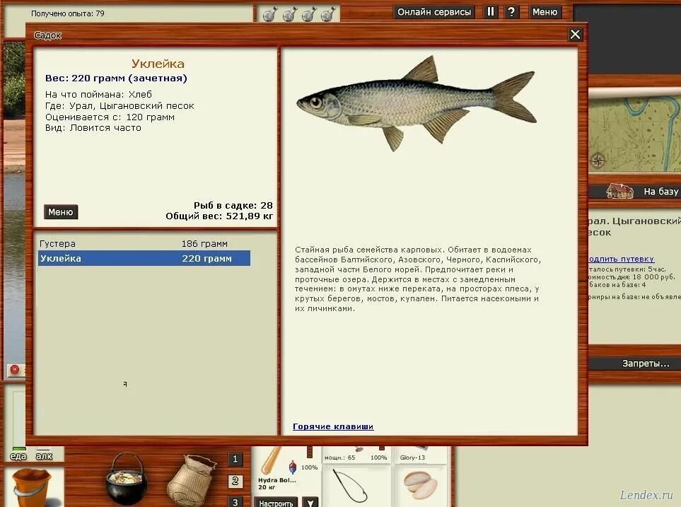 Реальная игра на что ловить уклейка форум игры Русская рыбалка