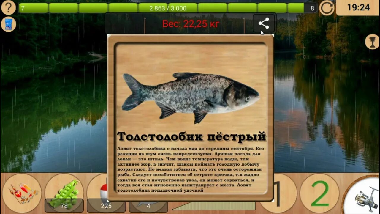 Реальная рыбалка 2 на что ловить моллюска Реальная рыбалка (android) 15 часов на лесном озере. Черный лещ на горох и кукур