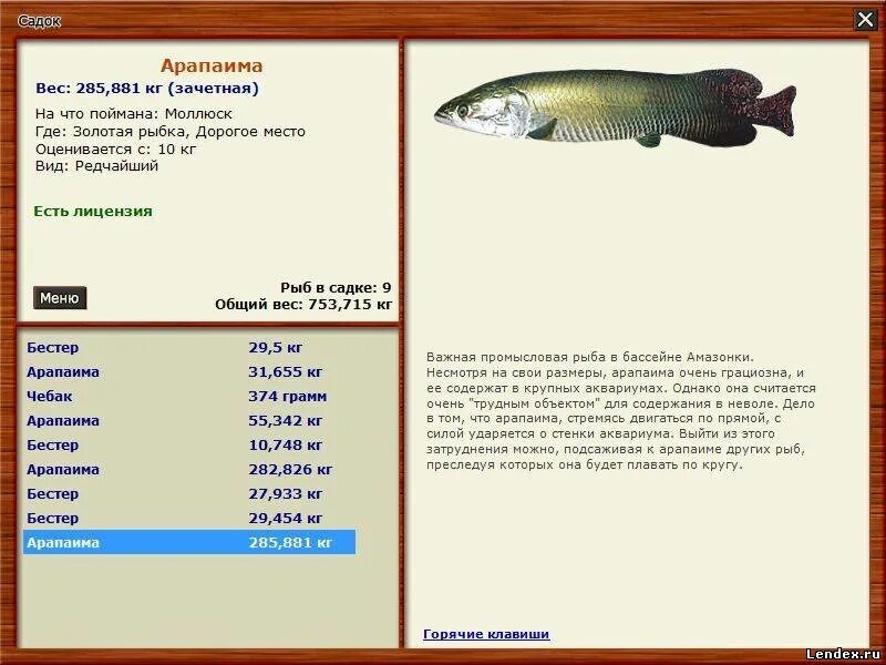 Реальная рыбалка на что ловить арапайма форум игры Русская рыбалка