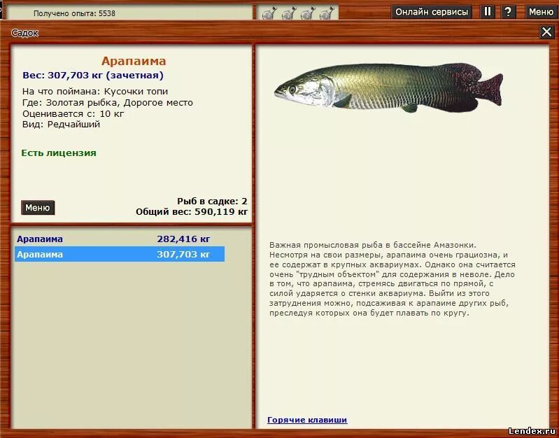Реальная рыбалка на что ловить арапайма форум игры Русская рыбалка