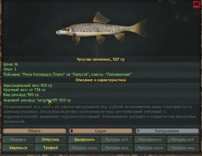 Реальная рыбалка на что ловить чукучан Симулятор онлайн рыбалки Fantastic Fishing; Чукучан латипинис