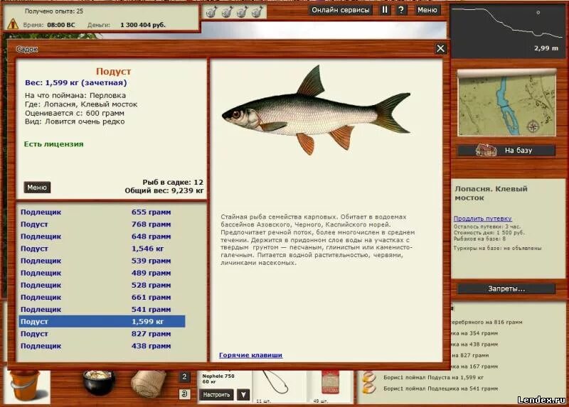 Реальная рыбалка на что ловить подуст форум игры Русская рыбалка