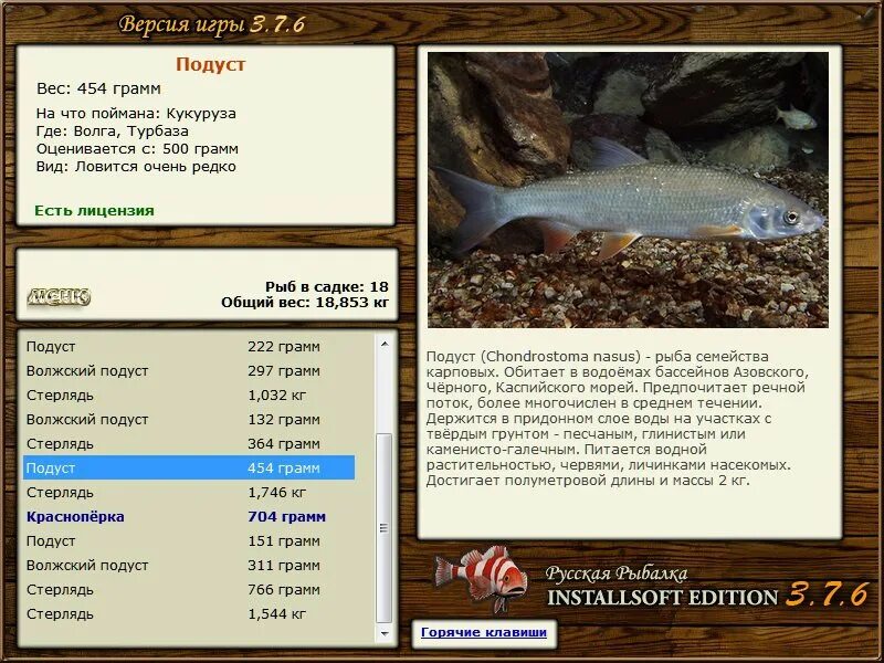 Реальная рыбалка на что ловить подуст РУССКАЯ РЫБАЛКА Installsoft Edition