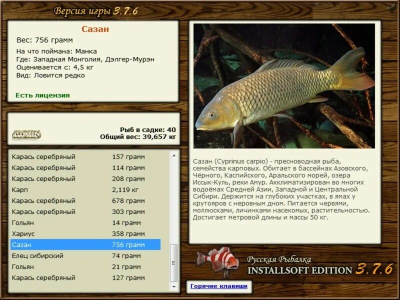 Реальная рыбалка на что ловить сазана РУССКАЯ РЫБАЛКА Installsoft Edition