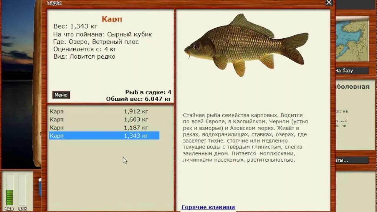 Реальная рыбалка на что ловить сазана Ловим карпа на озере "Русская рыбалка 3". - YouTube