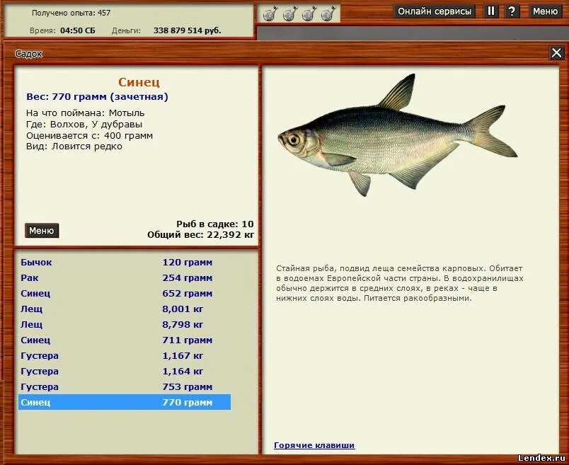 Реальная рыбалка на что ловить синец форум игры Русская рыбалка