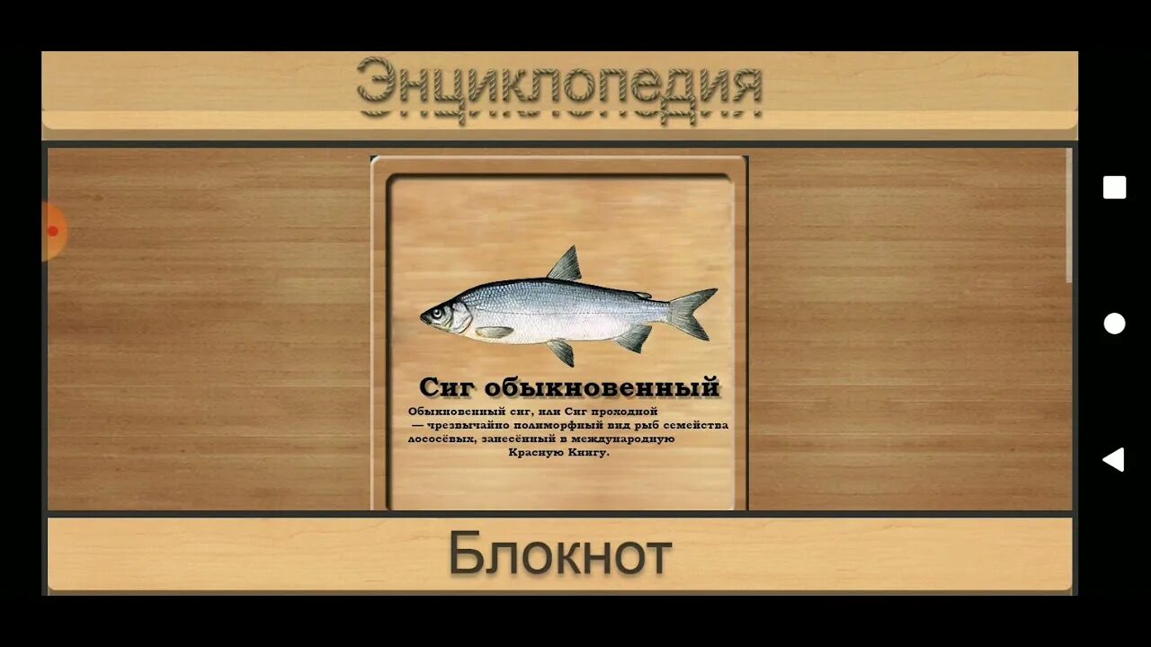 Реальная рыбалка на что ловить водохранилище Братское водохранилище кто на что ловится. Реальная рыбалка. - YouTube