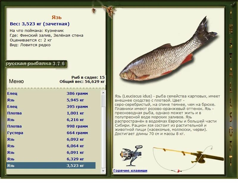 Реальная рыбалка на что ловить язя Как продать рыбу в русской рыбалке 4: найдено 81 изображений