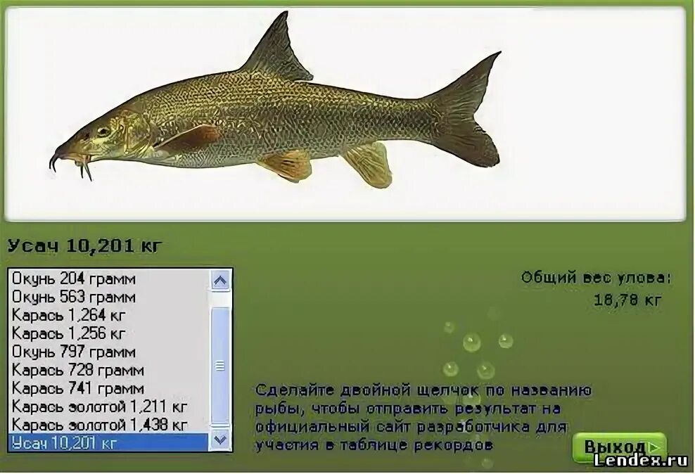 Реальная рыбалка усач на что ловить форум игры Русская рыбалка