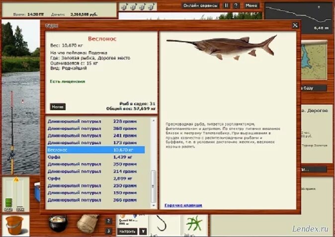 Реальная рыбалка веслонос китайский на что ловить форум игры Русская рыбалка