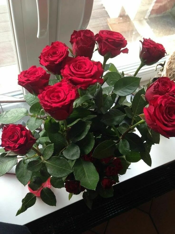 Реальное фото букетов цветов в квартире Pin by Darlene Hardy on Roses Bunch of red roses, Beautiful rose flowers, Rose f