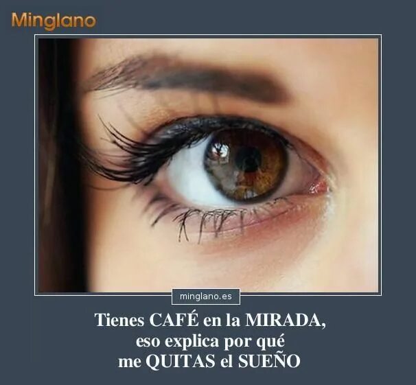 Реальное фото карих глаз Frases lindas para dedicárselas a un hombre o a una mujer con ojos de color marr