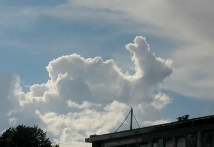 Реальное фото облаков Rabbit shaped cloud, or a duck on his back? Lol. Clouds, Cumulus clouds, Nature