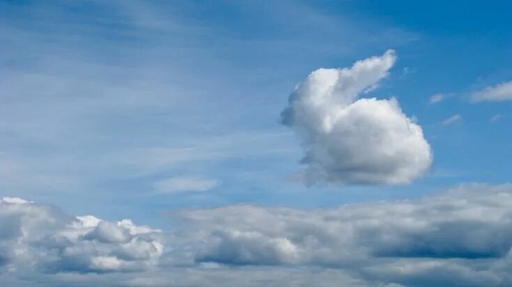 Реальное фото облаков Rabbit cloud - Richard Cross Photography Clouds, Amazing nature, Angel clouds