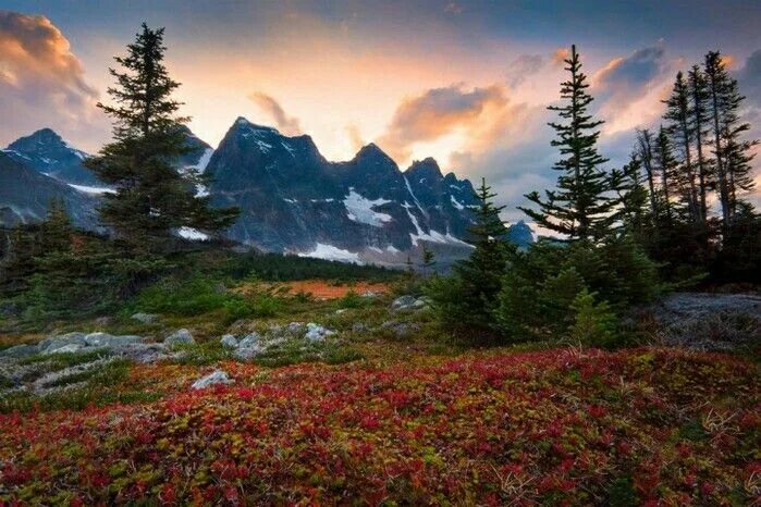 Реальное фото природы Pin by Софья Litisija on Природа,животные,красоты Земли Hiking spots, Breathtaki