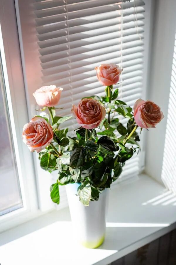 Pin by EMILY on pretty lil things. Winter flower arrangements, Love rose flower,