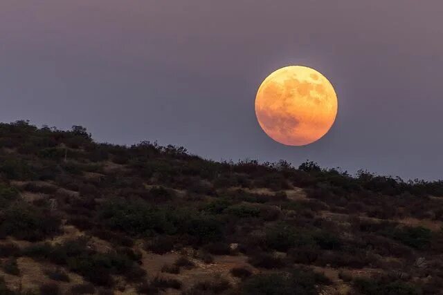 Реальные фото большой луны Blue Moon Scenes Blue moon, Amazing nature, Outdoor