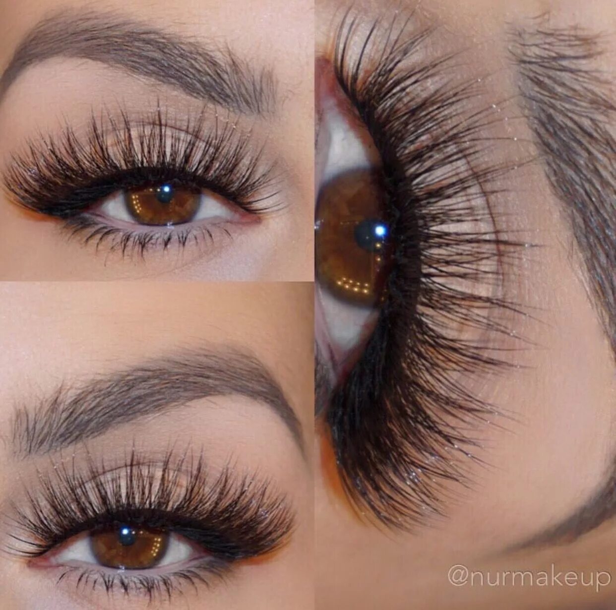 Реальные фото нарощенных ресниц @eyerisbeauty lashes in Cleopatra Eyelash extensions, False eyelashes, Lashes